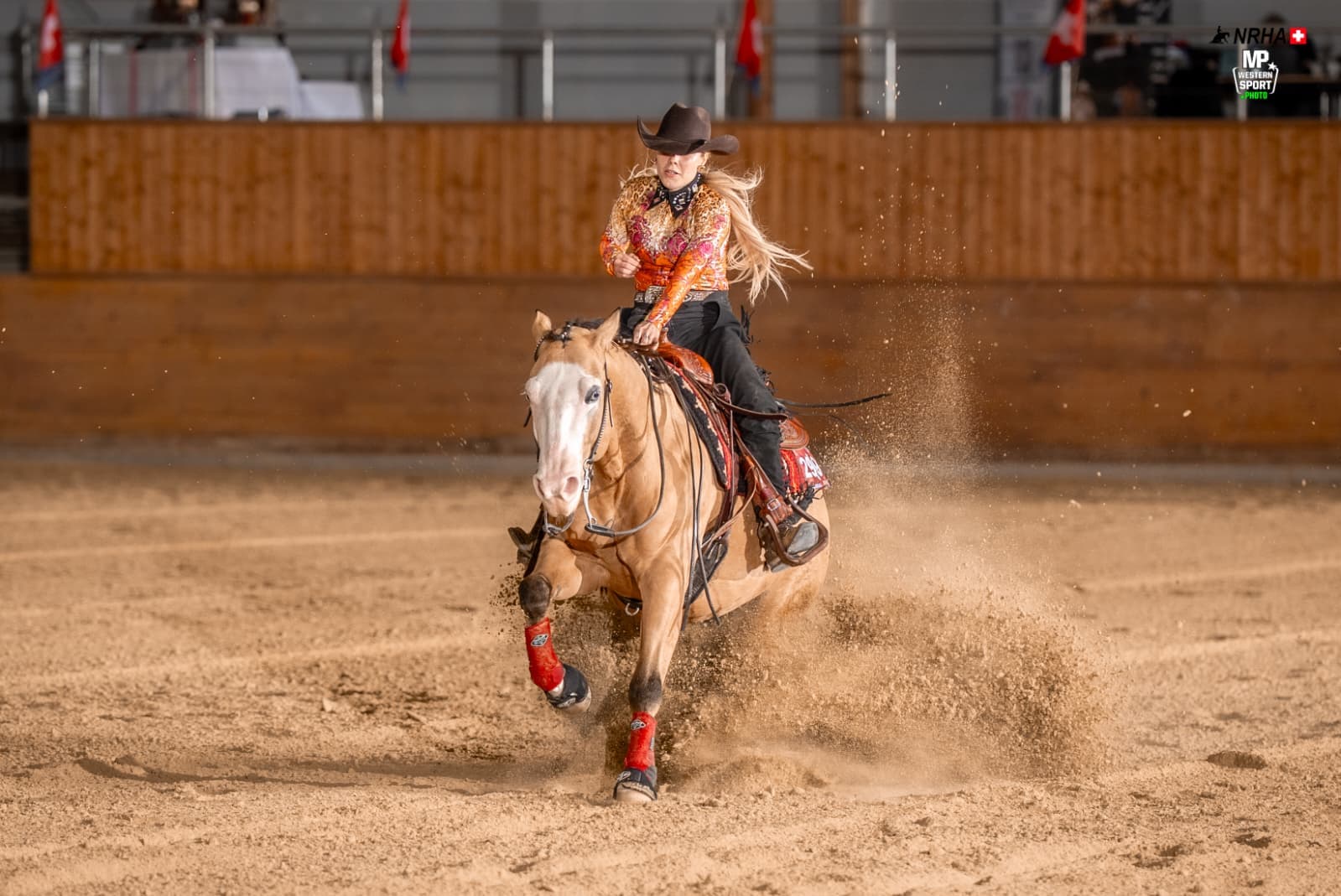 Pferdetraining bei Equilibrium Horsemanship