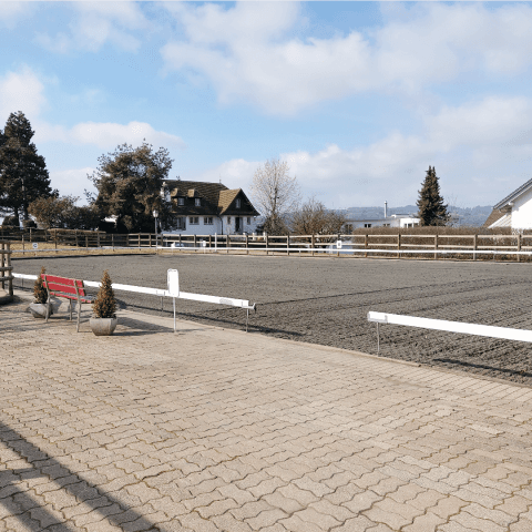 Stallinfrastruktur Equilibrium Horsemanship