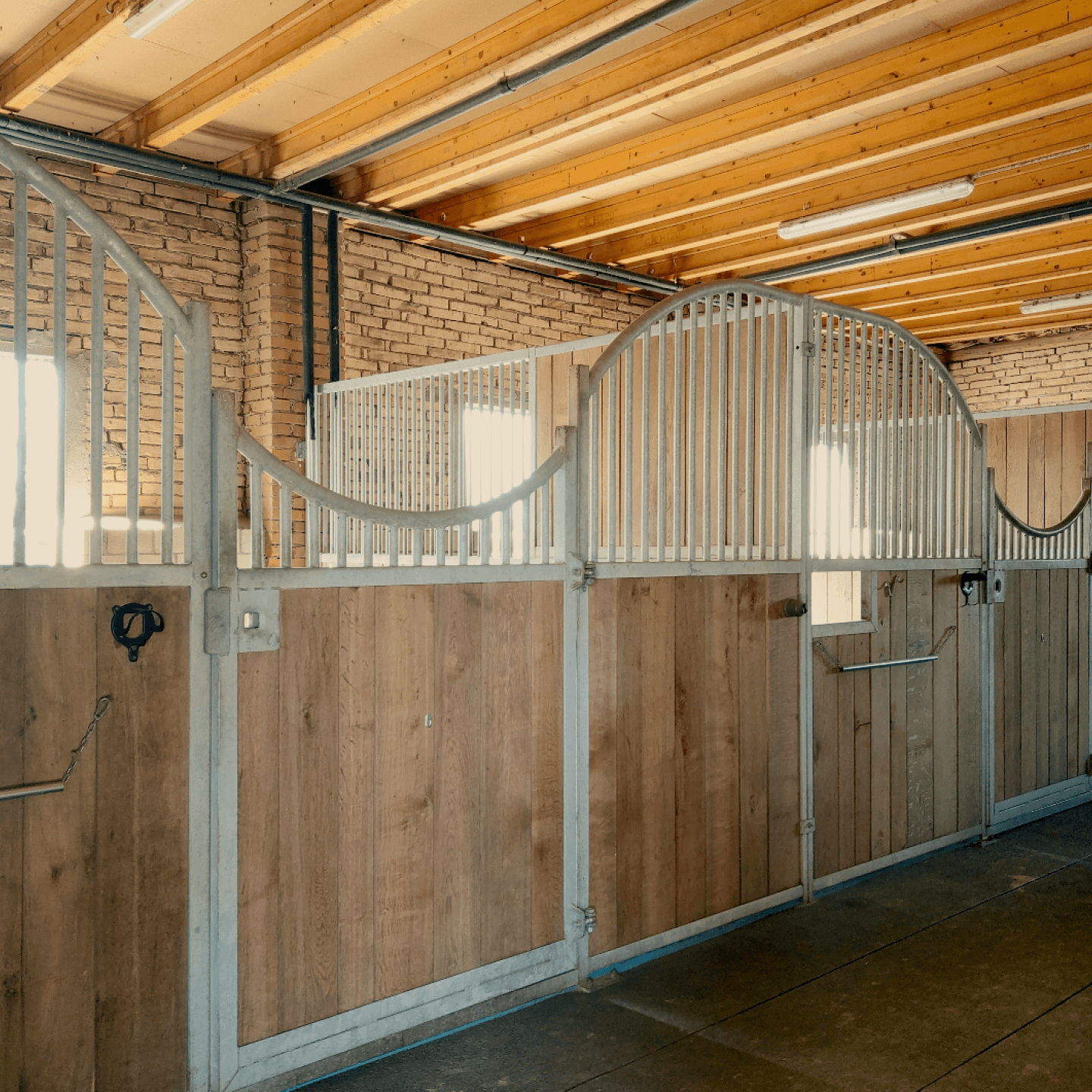 Pferdepension Equilibrium Horsemanship Büron