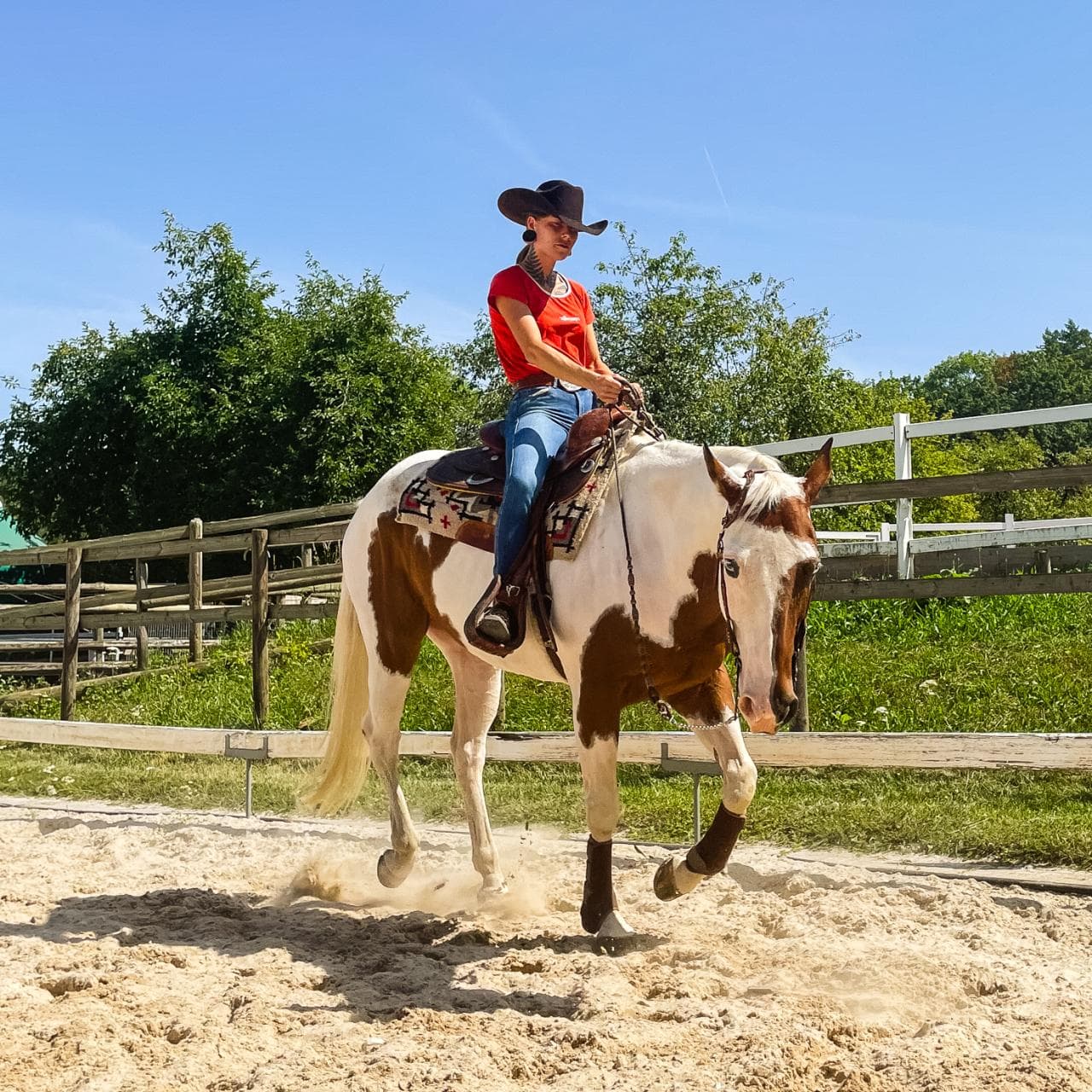 Muskelaufbau und Horsemanship