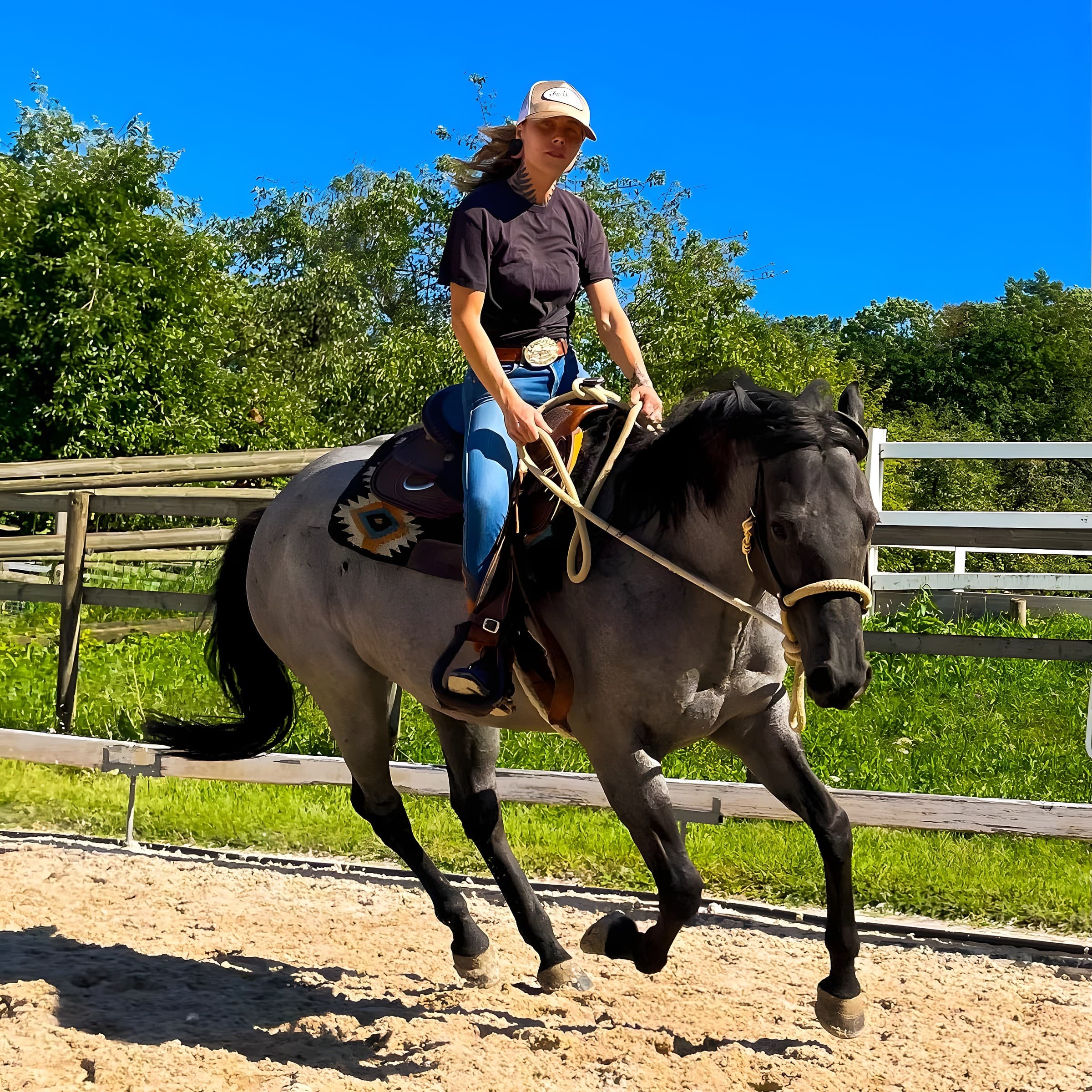 Frei Reiten — Westernreiten entdecken