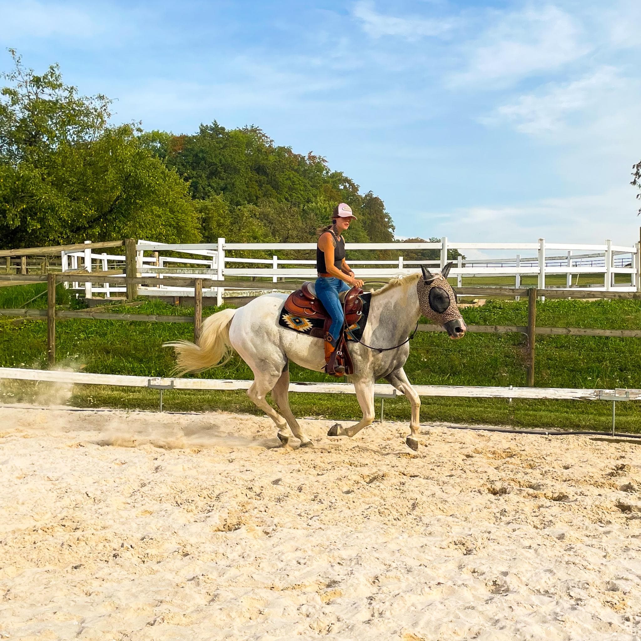 Horsemanship Lern-App