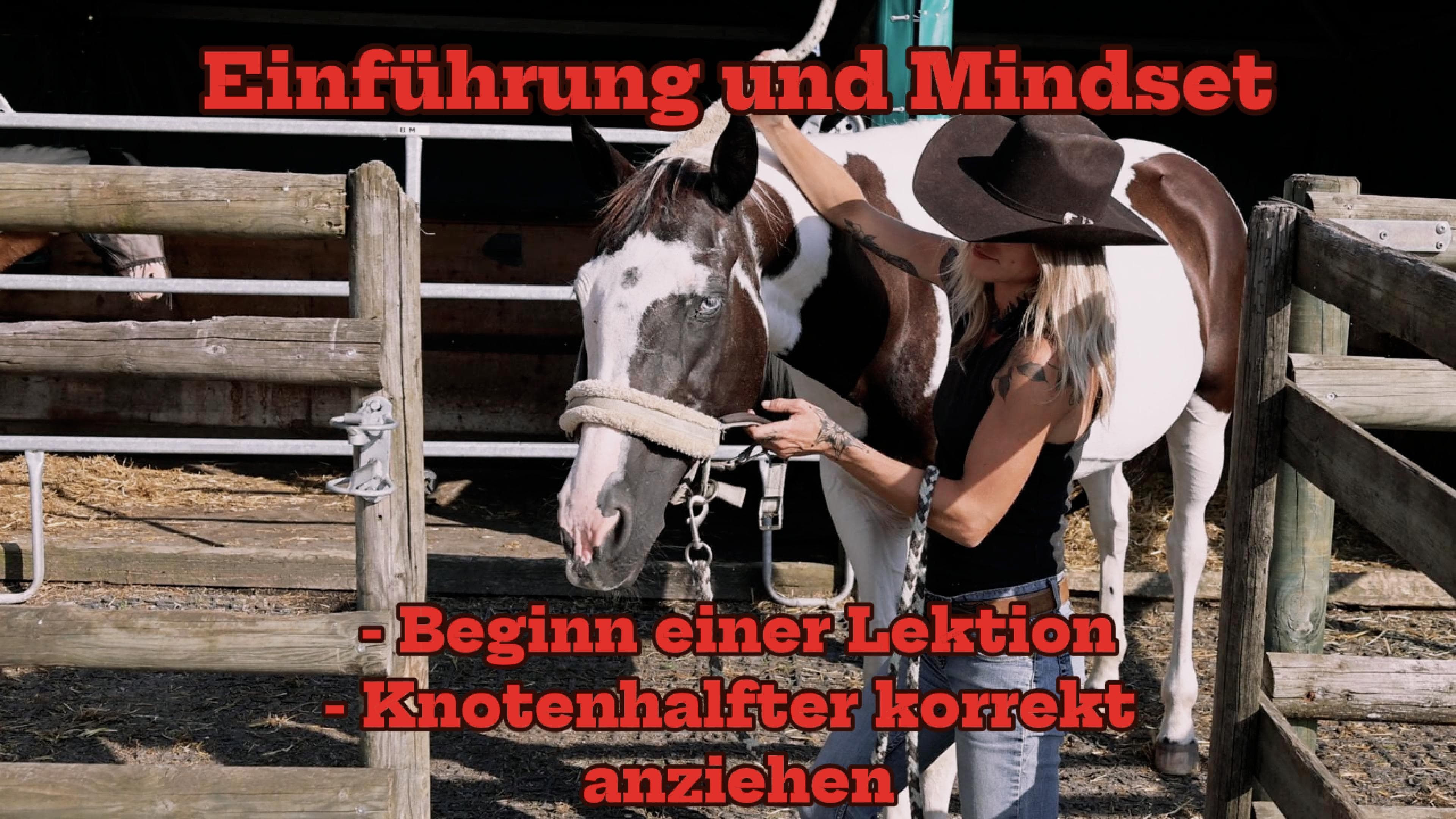 Einführung und Mindset